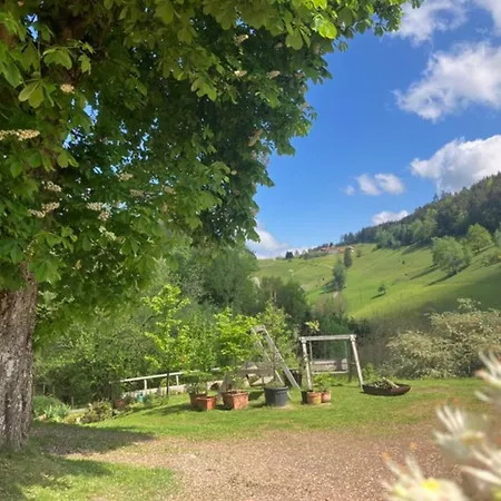 Auszeit Im Waldhaus Appartement *