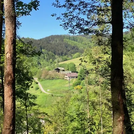 Auszeit Im Waldhaus Biederbach Baden-Württemberg