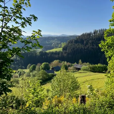 Auszeit Im Waldhaus 公寓